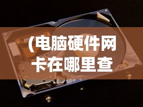 (电脑硬件网卡在哪里查看)电脑硬件网卡的位置及功能解析