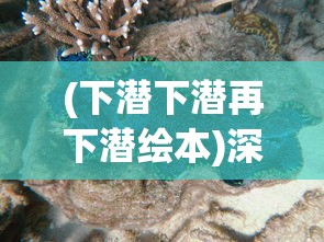 (下潜下潜再下潜绘本)深海探索，下潜下潜——揭示无尽的海洋奥秘