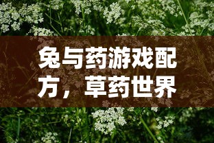 兔与药游戏配方，草药世界的探索与挑战