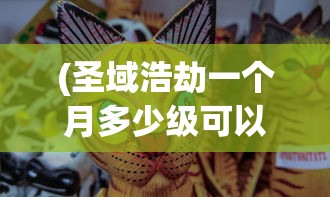 (圣域浩劫一个月多少级可以打)圣域浩劫一个月能升多少级，揭秘游戏等级提升的秘密