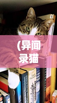 (异闻录猫寂小说)猫咪异闻录，揭开神秘面纱下的猫界奇缘