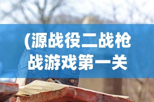 (源战役二战枪战游戏第一关)源战役二战枪战游戏，重温历史战火纷飞的战场体验