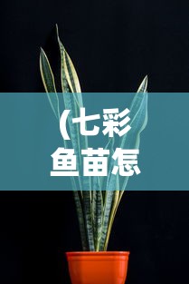 (七彩鱼苗怎么养长得快一点)七彩鱼苗怎么养长得快？全方位养殖指南与常见问题解答