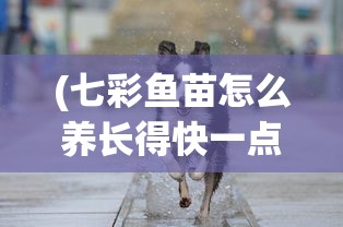 (七彩鱼苗怎么养长得快一点)七彩鱼苗怎么养长得快？全方位养殖指南与常见问题解答