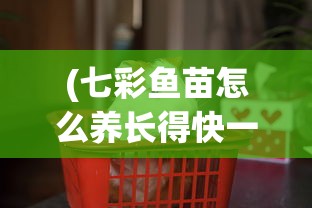 (七彩鱼苗怎么养长得快一点)七彩鱼苗怎么养长得快？全方位养殖指南与常见问题解答