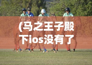(马之王子殿下ios没有了)马之王子殿下iOS游戏全新体验，攻略、FAQ及参考文献