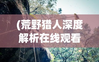 (荒野猎人深度解析在线观看)荒野猎人深度解析，探寻生存与挑战的极致表达