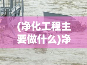 (净化工程主要做什么)净化工程，打造纯净环境的科技力量