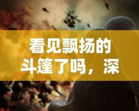 看见飘扬的斗篷了吗，深入解析背后的官方故事