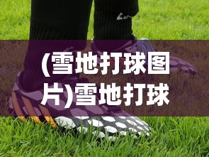 (雪地打球图片)雪地打球，冬季运动新风尚的挑战与魅力