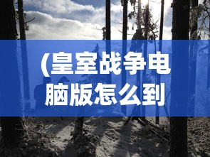(皇室战争电脑版怎么到桌面显示)皇室战争电脑版如何快速达到桌面界面？攻略与常见问题解答