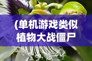 (单机游戏类似植物大战僵尸)很老的游戏类似植物大战僵尸，经典塔防游戏的魅力与回忆