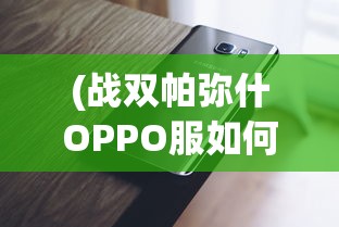 (战双帕弥什OPPO服如何非手机登录)战双帕弥什OPPO服，游戏特色与玩家体验解析