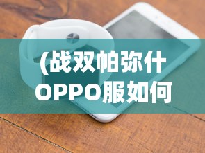 (战双帕弥什OPPO服如何非手机登录)战双帕弥什OPPO服，游戏特色与玩家体验解析