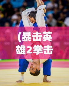 (暴击英雄2拳击)暴击英雄2，游戏深度解析与常见问题解答