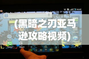 (黑暗之刃亚马逊攻略视频)黑暗之刃，亚马逊攻略指南