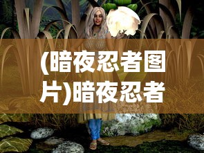 (暗夜忍者图片)暗夜忍者，神秘面纱下的隐秘世界