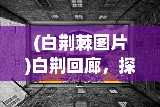(白荆棘图片)白荆回廊，探索神秘的回廊，揭示背后的故事