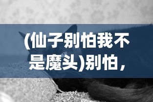 (仙子别怕我不是魔头)别怕，我不是魔头，揭示真实自我与消除误解的艺术