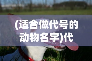 (适合做代号的动物名字)代号动物，探索那些适合作为独特代号的动物名字