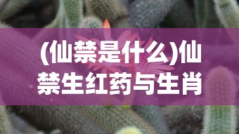 (仙禁是什么)仙禁生红药与生肖的奇妙关联