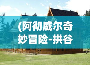 (阿彻威尔奇妙冒险-拱谷世界(Archvale))阿彻威尔奇妙冒险，拱谷世界的探索与挑战