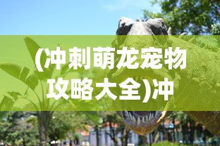 (冲刺萌龙宠物攻略大全)冲刺萌龙宠物攻略，成为萌龙养成大师的全面指南