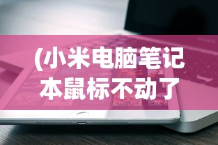 (小米电脑笔记本鼠标不动了按什么键恢复正常)小米电脑笔记本鼠标不动了应该如何解决？按键恢复全攻略