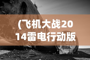 (飞机大战2014雷电行动版下载)飞机大战2021，一场空中盛宴的无限魅力与期待