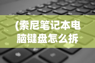 (索尼笔记本电脑键盘怎么拆视频)索尼电脑笔记本键盘配件的全面解析