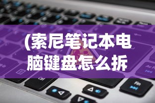 (索尼笔记本电脑键盘怎么拆视频)索尼电脑笔记本键盘配件的全面解析