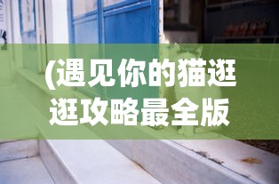 (遇见你的猫逛逛攻略最全版)遇见你的猫逛逛攻略大全，最全面的游戏指南