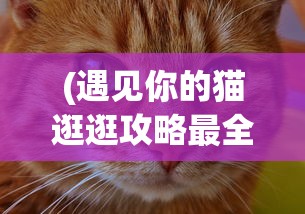 (冒险者集结手游官网)冒险者集结手游，探索未知世界的召唤