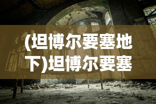 (坦博尔要塞地下)坦博尔要塞，历史遗迹与现代探索