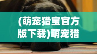 (萌宠猎宝官方版下载)萌宠猎宝官方版，游戏探索与常见问题解答