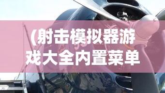 (射击模拟器游戏大全内置菜单)射击模拟器游戏大全，体验真实战场，玩转射击游戏世界