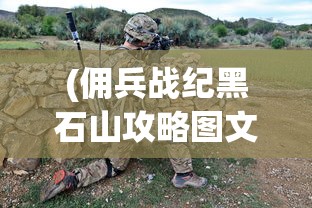 (佣兵战纪黑石山攻略图文)佣兵战纪黑石山攻略大全及常见问题解答