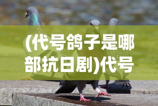 (暖暖无限钻石)无限暖暖的开服时间，期待与探索