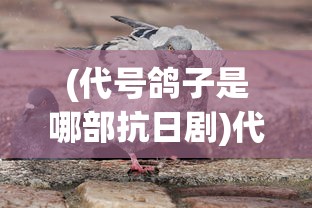 (代号鸽子是哪部抗日剧)代号肉鸽，游戏新体验——免广告畅享乐趣