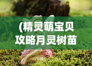 (精灵萌宝贝攻略月灵树苗的背景故事)精灵萌宝贝全面攻略，培养、互动与成长指南