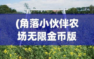 (暖暖无限钻石)无限暖暖的开服时间，期待与探索