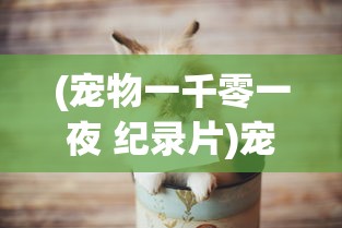 (宠物一千零一夜 纪录片)宠物一千的世界，深度探索与常见问答