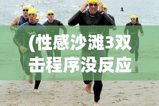 (性感沙滩3双击程序没反应)性感沙滩3无法运行的原因分析及解决方案