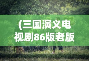(三国演义电视剧86版老版全集)三国演义，历史、文学与文化的交融
