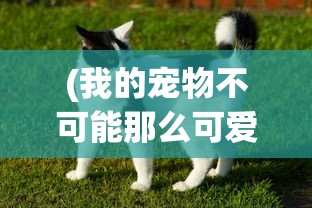 (我的宠物不可能那么可爱下载)我的宠物不可能那么可爱，百度网盘中的萌宠世界