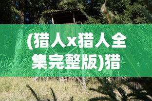(猎人x猎人全集完整版)猎人猎人，探寻狩猎文化的多维视角