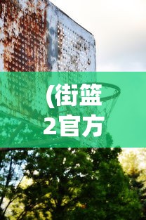 (街篮2官方版)街篮2百度贴吧，篮球竞技的虚拟战场与现实共鸣