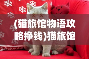 (猫旅馆物语攻略挣钱)猫旅馆物语，喂食指南与常见问题解答