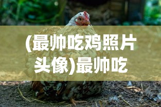 (最帅吃鸡照片头像)最帅吃鸡照片，游戏瞬间的艺术捕捉