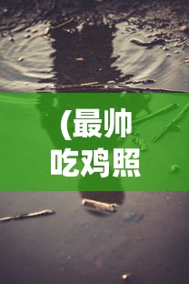 (最帅吃鸡照片头像)最帅吃鸡照片，游戏瞬间的艺术捕捉